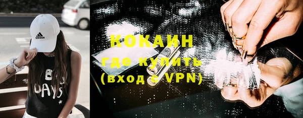 твердый Богданович