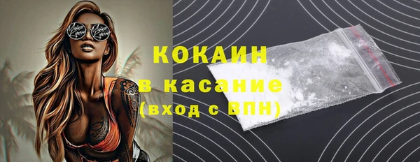 твердый Богданович
