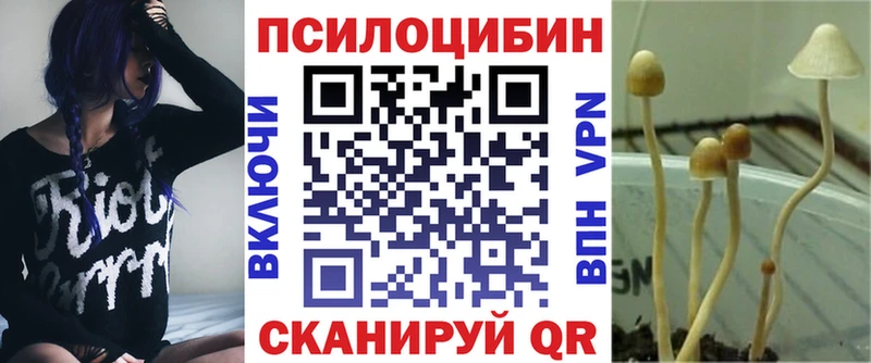 Псилоцибиновые грибы Psilocybine cubensis  Верхний Тагил 